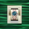 Rolex Sky-Dweller, 42mm, 18k Everose Gold, Ref# 336935-0001