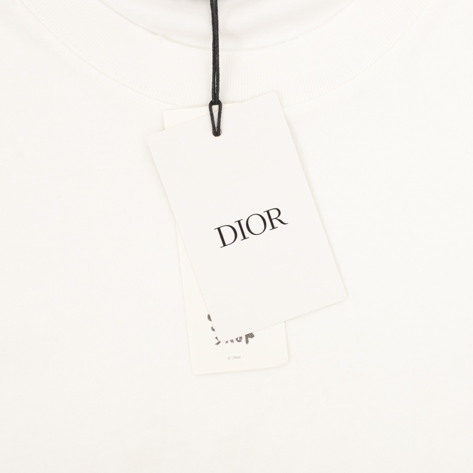 Dior T-shirt - DT08