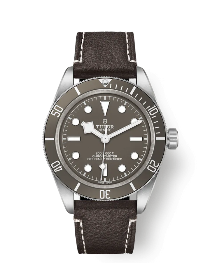 Tudor Black Bay Fifty-Eight 925, 39mm, 925 Silver, Ref# M79010SG-0001