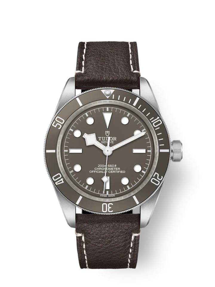 Tudor Black Bay Fifty-Eight 925, 39mm, 925 Silver, Ref# M79010SG-0001