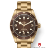 Tudor Black Bay Fifty-Eight 'Boutique Edition', Bronze, 39mm, Ref# M79012M-0001