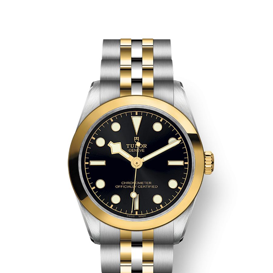 Tudor Black Bay 31 S&G, Stainless Steel and 18k Yellow Gold, Ref# M79603-0001