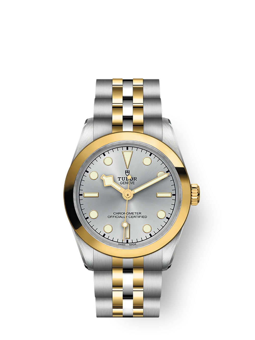 Tudor Black Bay 39 S&G, Stainless Steel and 18k Yellow Gold, Ref# M79663-0002