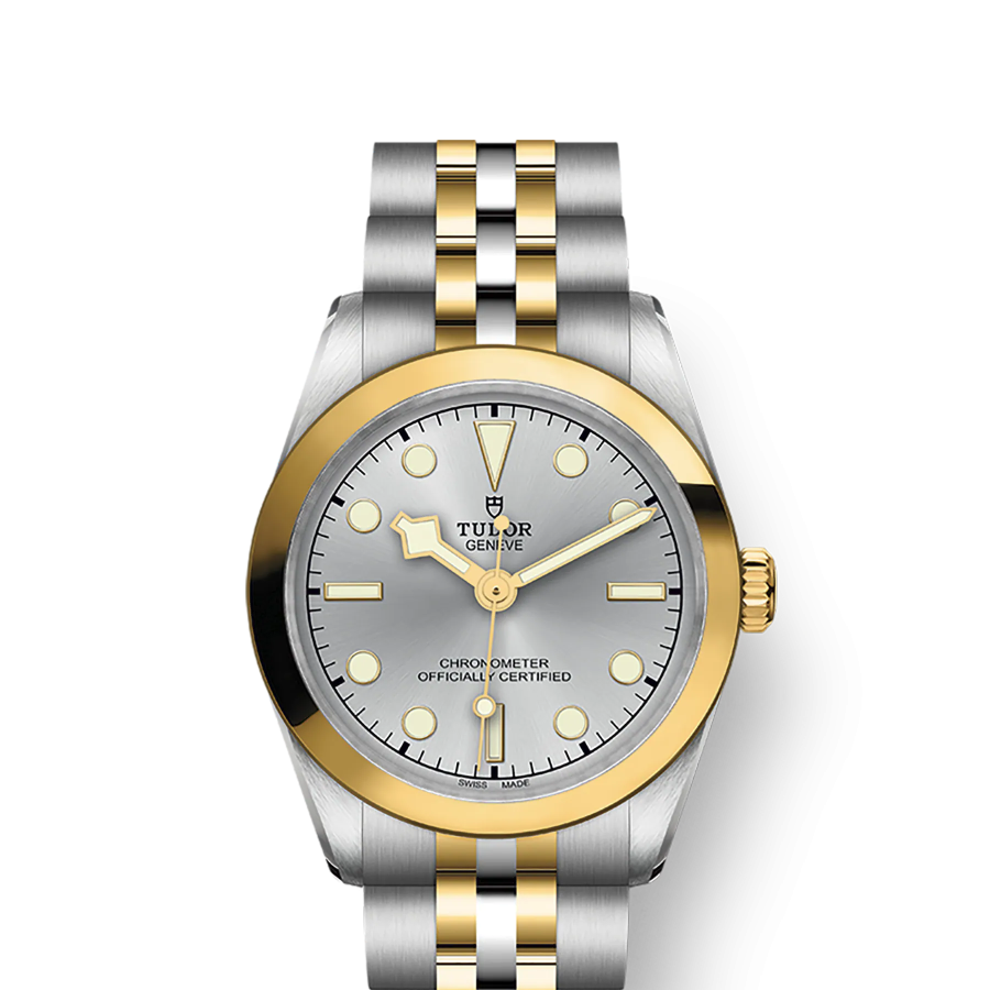 Tudor Black Bay 36 S&G, Stainless Steel and 18k Yellow Gold, Ref# M79643-0002