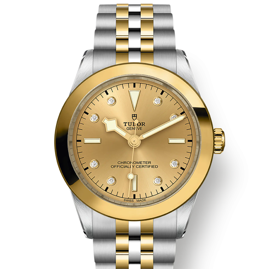 Tudor Black Bay 39 S&G, 316L Stainless Steel and 18k Yellow Gold, Ref# M79663-0008