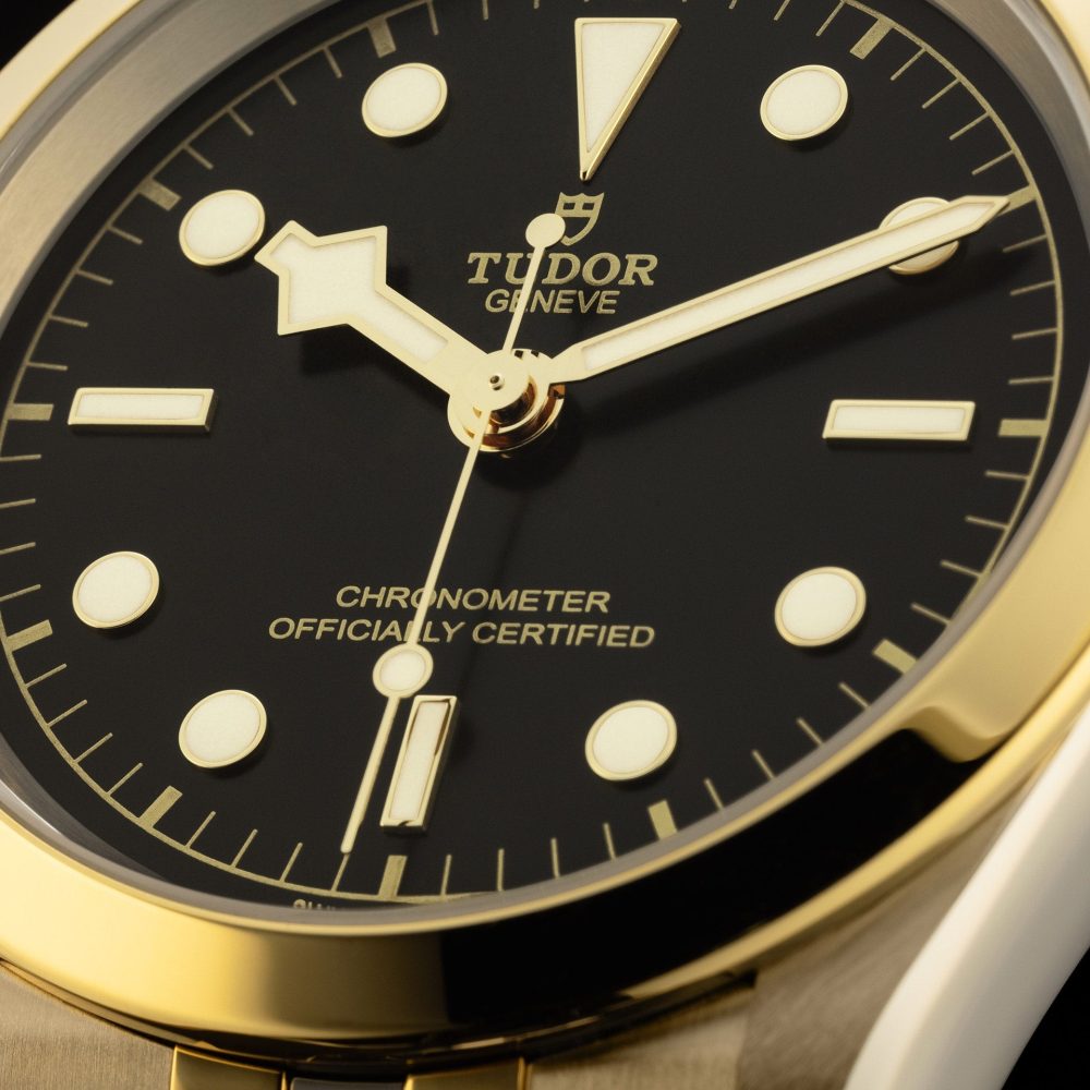 Tudor Black Bay 41 S&G, Stainless Steel and 18k Yellow Gold, Ref# M79683-0001