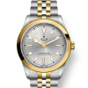 Tudor Black Bay 41 S&G, Stainless Steel and 18k Yellow Gold, Ref# M79683-0002